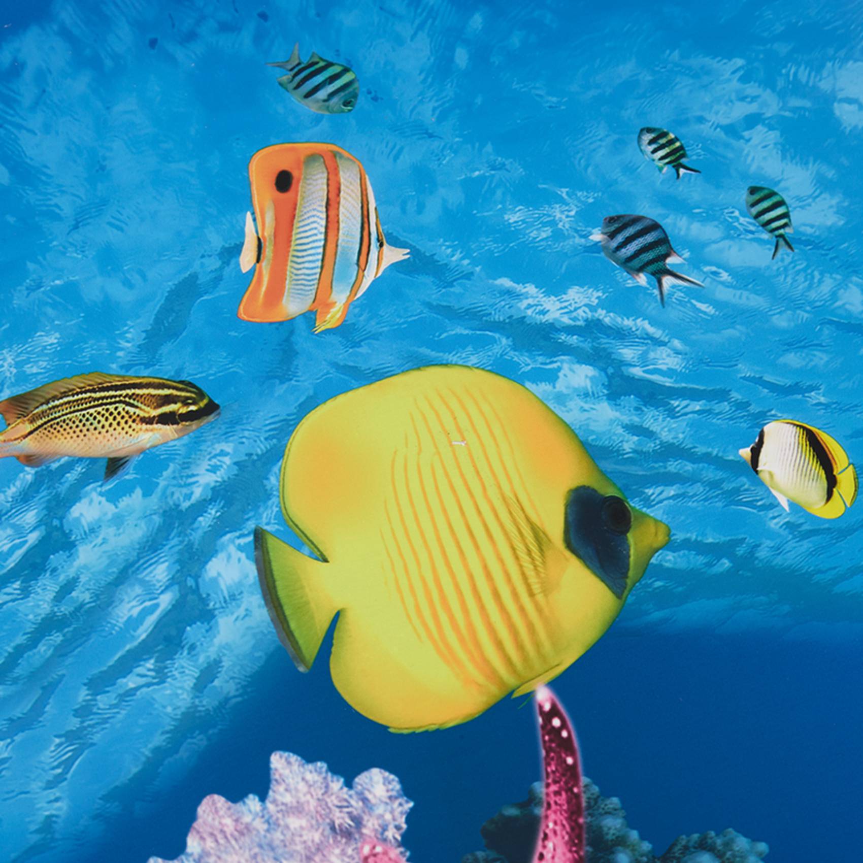 Бумага для аквариумного фона A – обзор и цена Aquarium Fish Wallpaper Hd