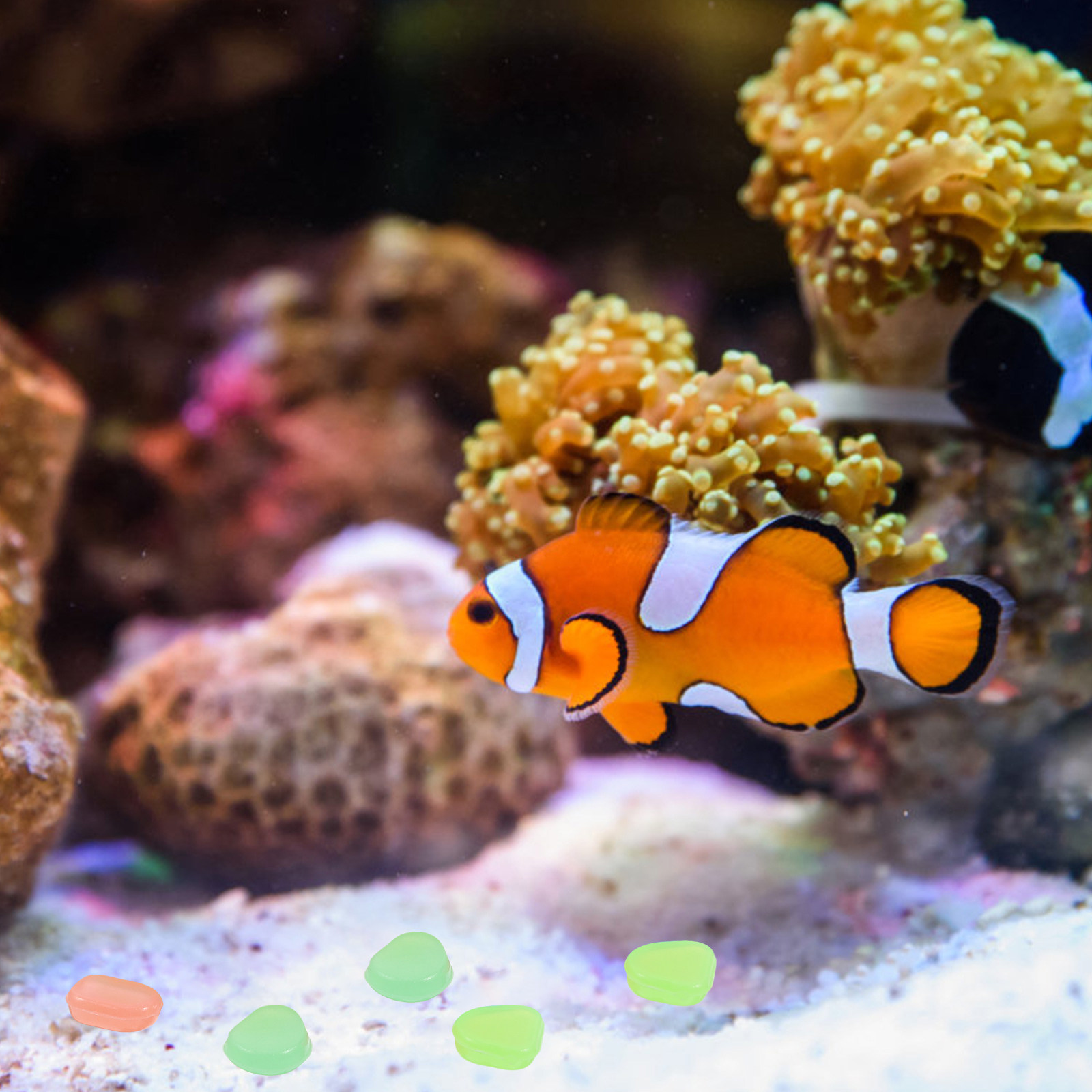 400 шт. светящихся камней для  – обзор и цена Aquarium Decoration Rock