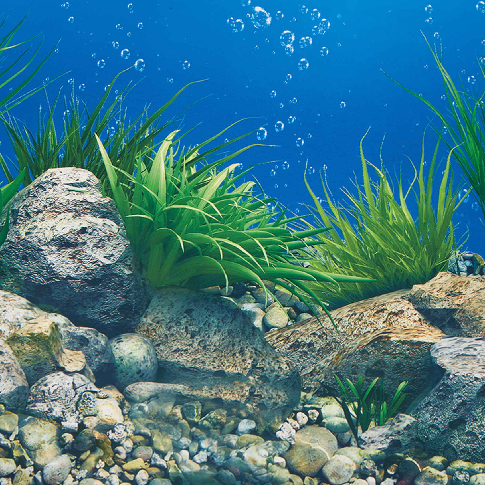 A77I аквариум фон бумага HD ка – обзор и цена Aquarium Fish Wallpaper Hd