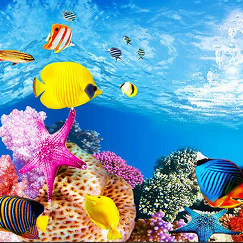 BAAU аквариум фон бумага HD ка – обзор и цена Aquarium Fish Wallpaper Hd