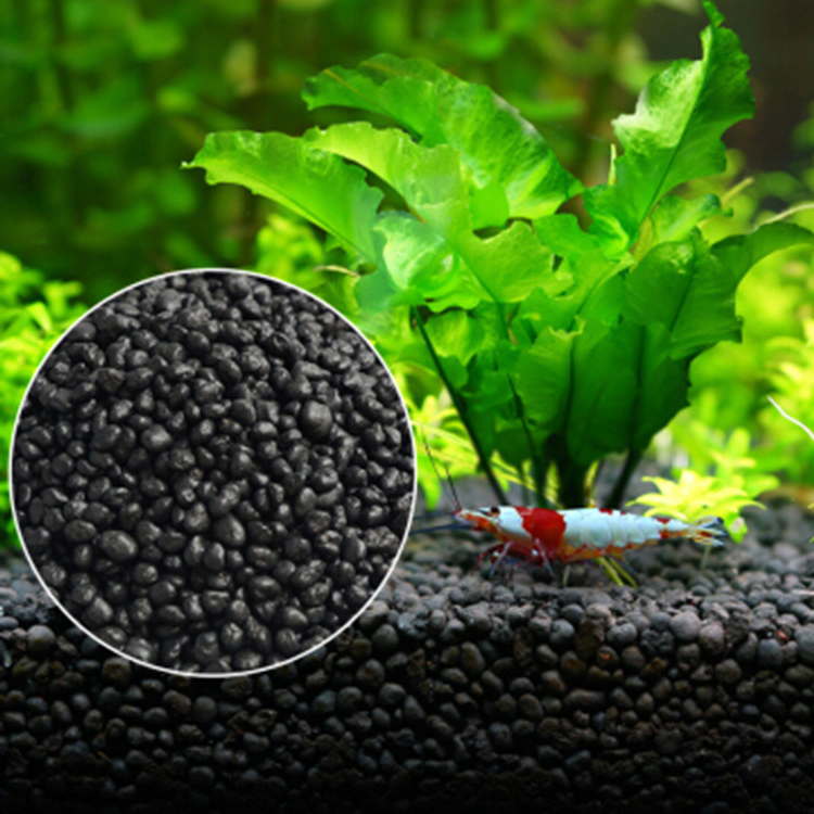 Семена аквариумных растений, п – обзор и цена Aquarium Fish Store
