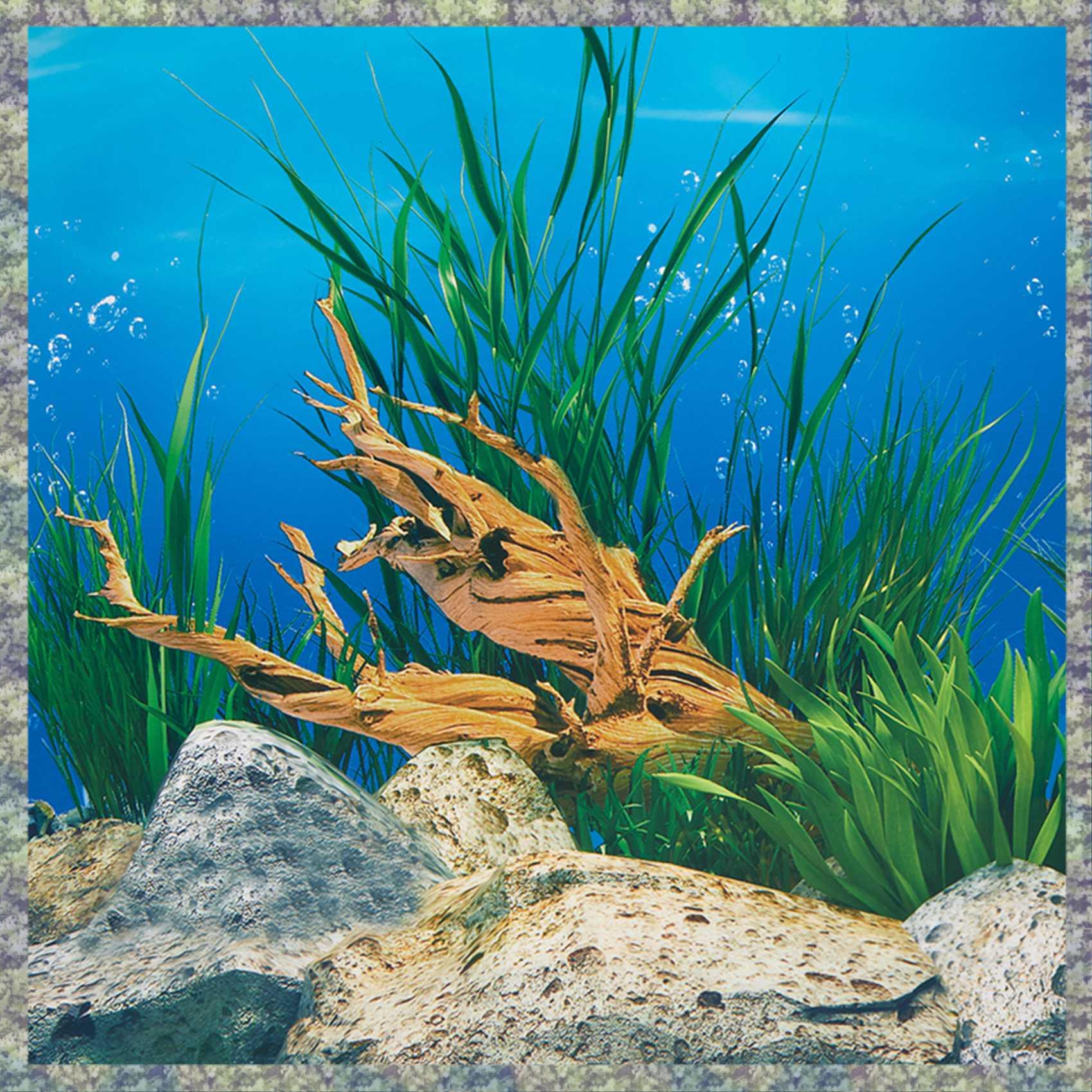 WON фон для аквариума, бумага  – обзор и цена Aquarium Fish Wallpaper Hd