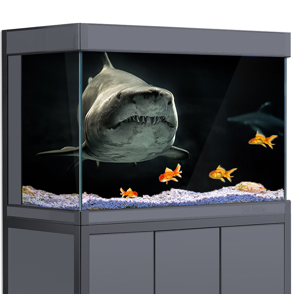 Фон для аквариума 3D акула чер – обзор и цена Aquarium Fish Wallpaper Hd